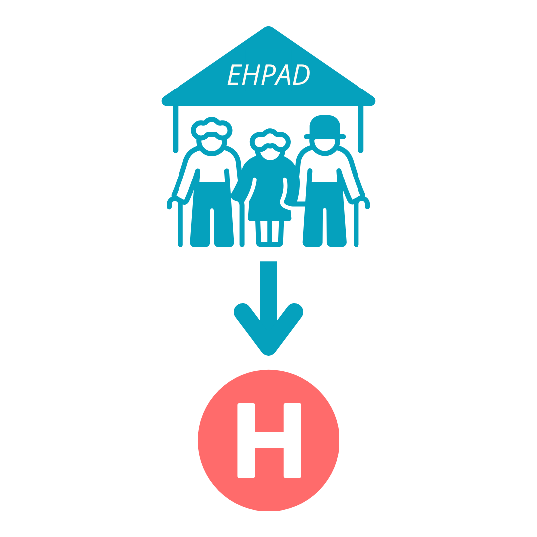 Hospi EHPAD.png
